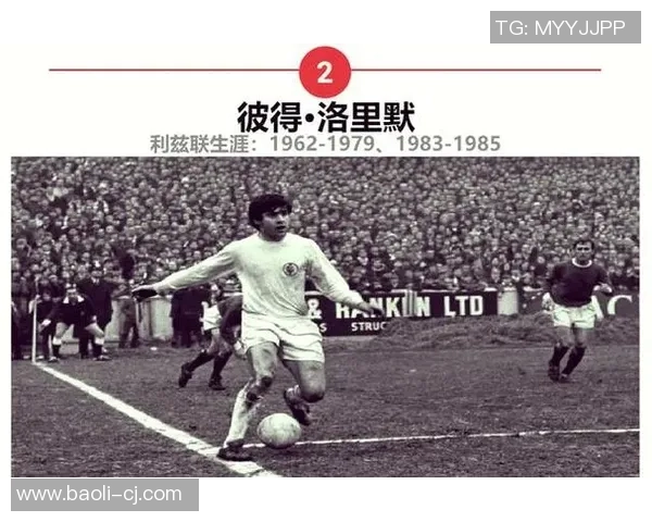 足球明星五号背后的传奇故事与荣耀时刻揭秘